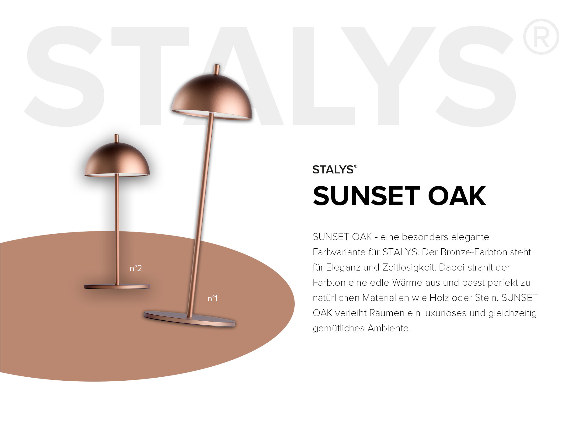 STALYS_Webseite_Banner_Bild_bronze_mobil